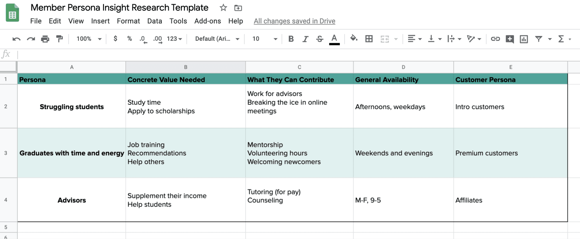 member persona insight research template