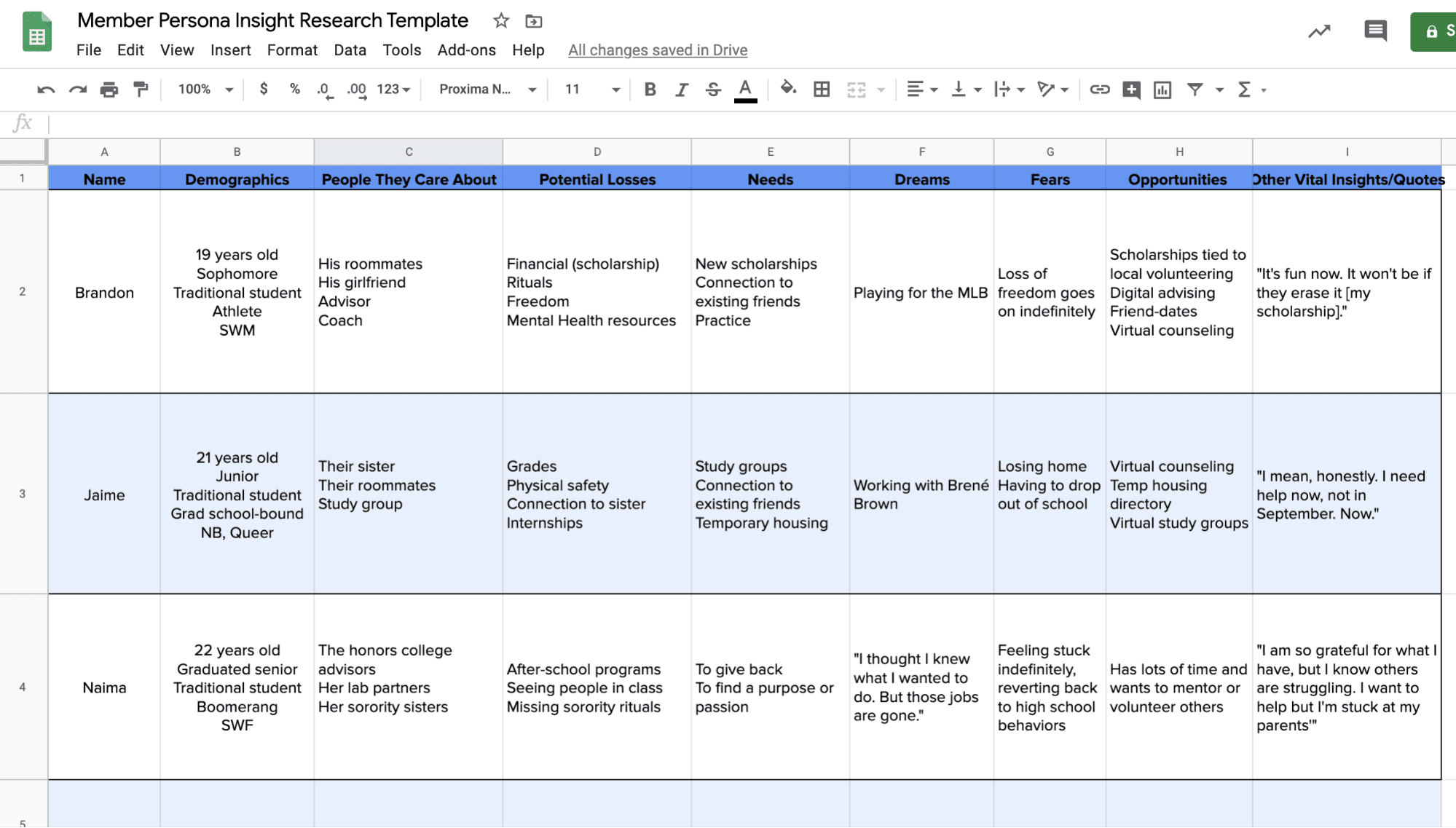 member persona insight research table