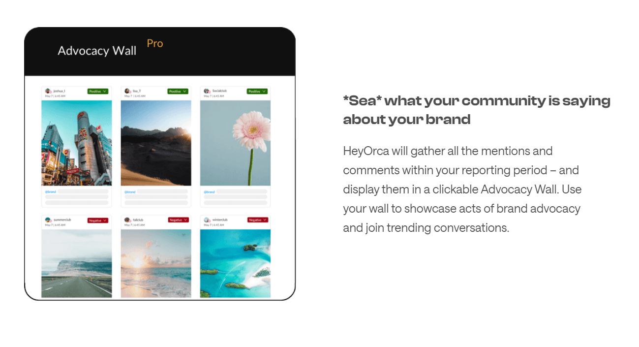Screenshot from the HeyOrca website, showing a sample customer advocacy wall for social media